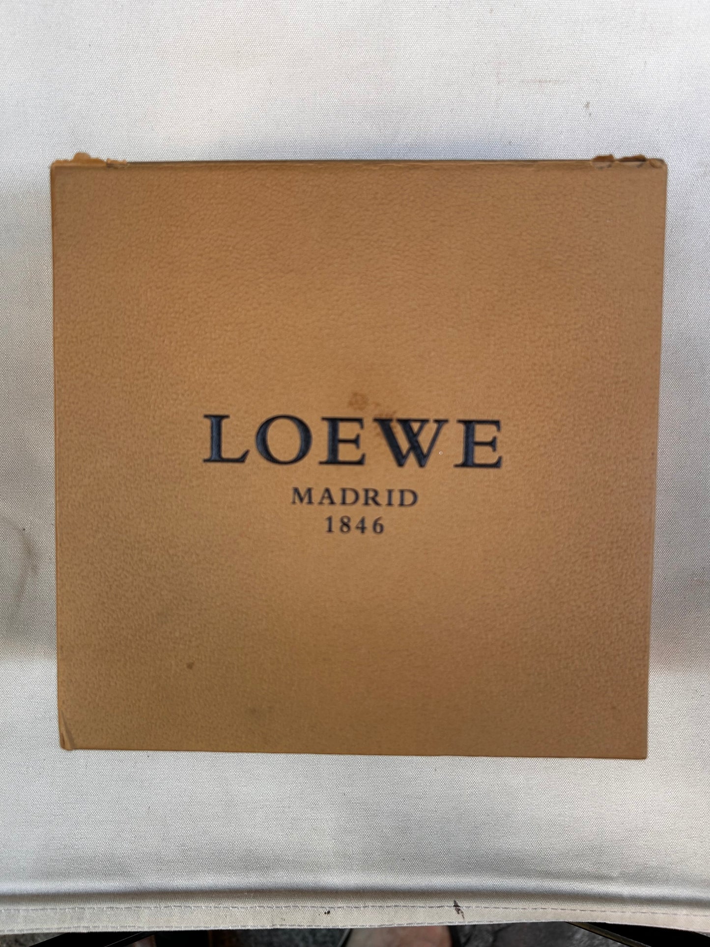 Monedero Loewe Oso Panda
