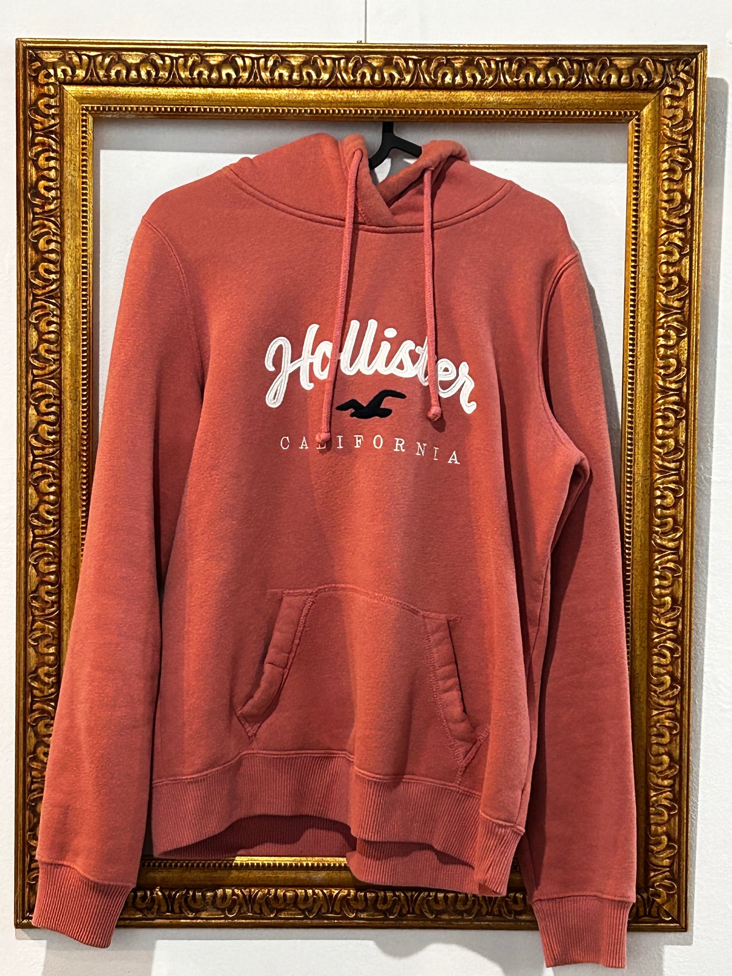 Sudadera con capucha HOLLISTER